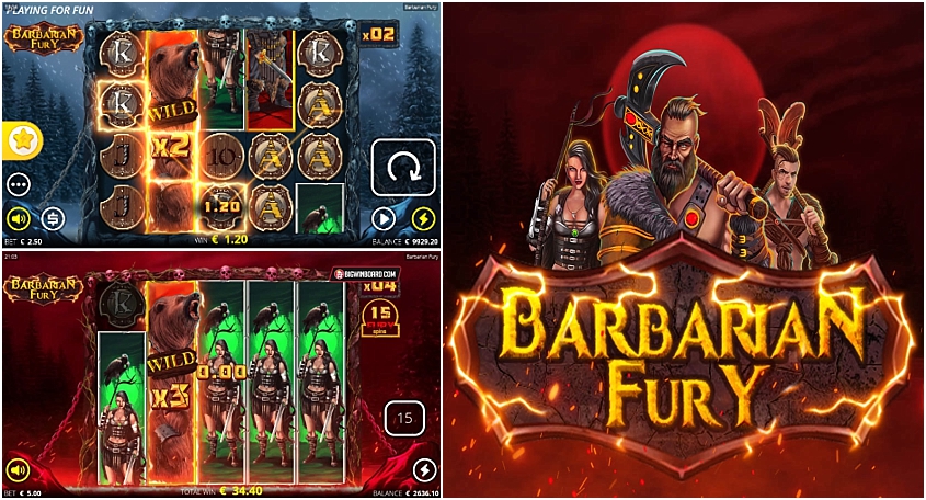 Barbarian Fury