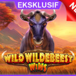 Mencari Kemenangan Di Permainan Wild Wildebeest Wins